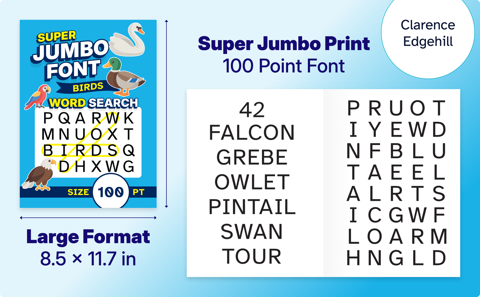 Super Jumbo Font Birds Word Search – cover and a sample interior page